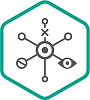 Kaspersky Endpoint Detection and Response для бизнеса Оптимальный (лицензия), на 1 год. Количество узлов